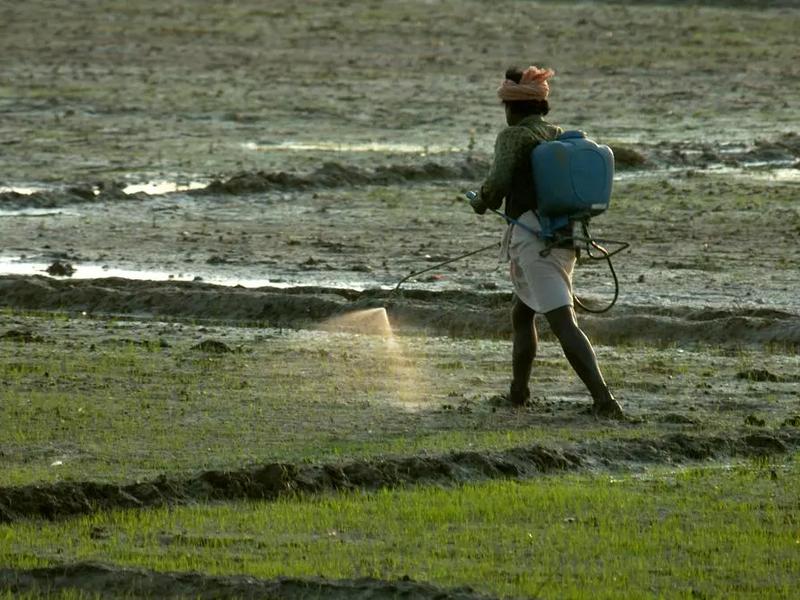 Agtech Revolution: Integration Of Smart Farming Technologies For A Greener, Smarter Agri Landscape