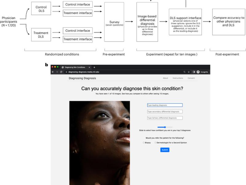Deep Learning-aided Decision Support For Diagnosis Of Skin Disease Across Skin Tones