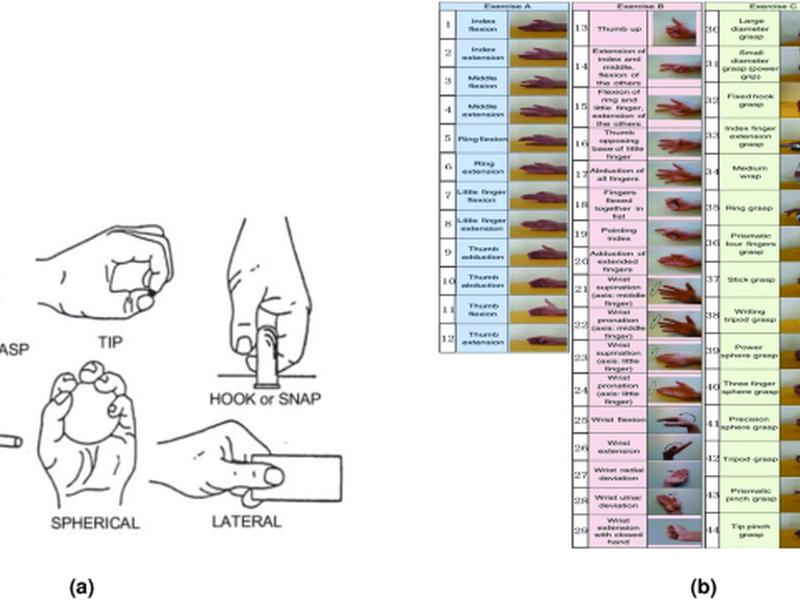 Classification Of Hand And Wrist Movements Via Surface Electromyogram Using The Random Convolutional Kernels Transform