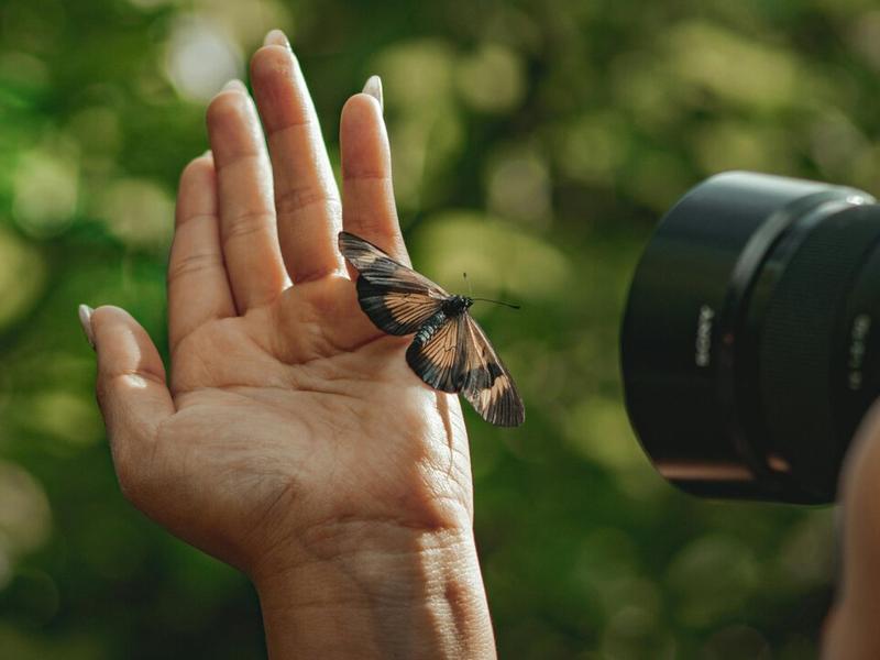 New Research Works To Improve Image Classification And Analysis