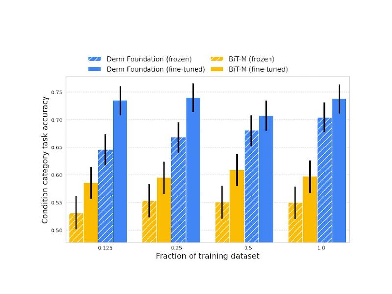 Health-specific Embedding Tools For Dermatology And Pathology