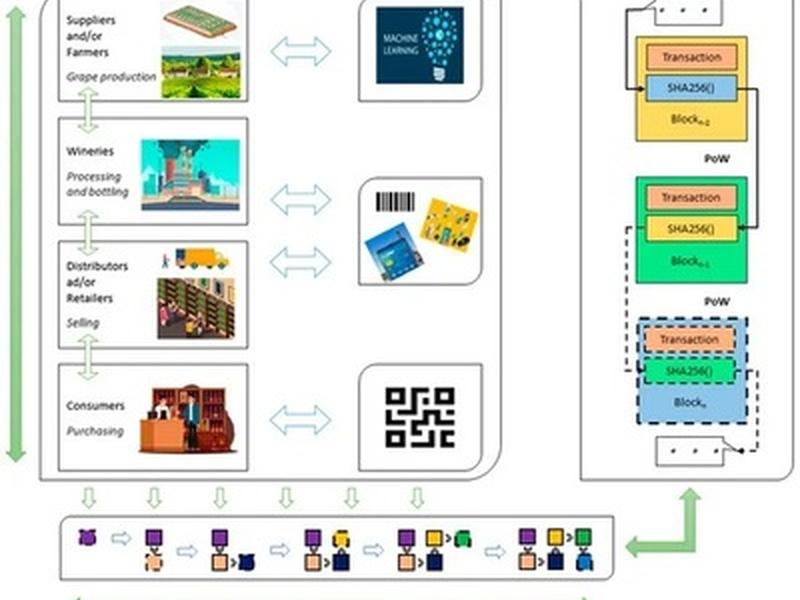 Digitisation In Wine Supply Chain