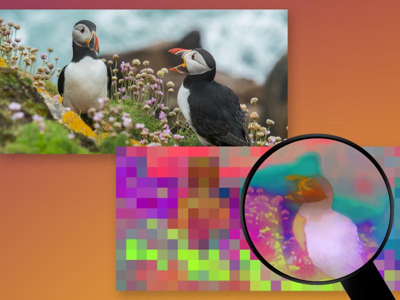 Breakthrough Algorithm Unlocks High-resolution Insights For Computer Vision