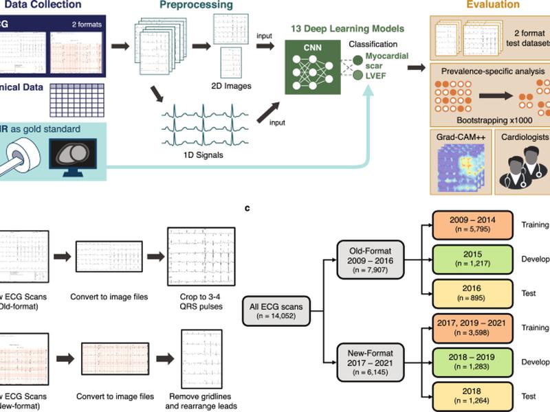 Myocardial Scar And Left Ventricular Ejection Fraction Classification For Electrocardiography Image Using Multi-task Deep Learning