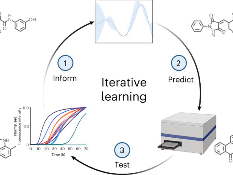Discovery Of Potent Inhibitors Of Α-synuclein Aggregation Using Structure-based Iterative Learning