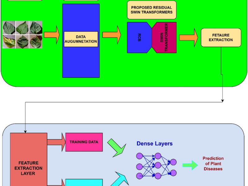 Plant Disease Recognition Using Residual Convolutional Enlightened Swin Transformer Networks