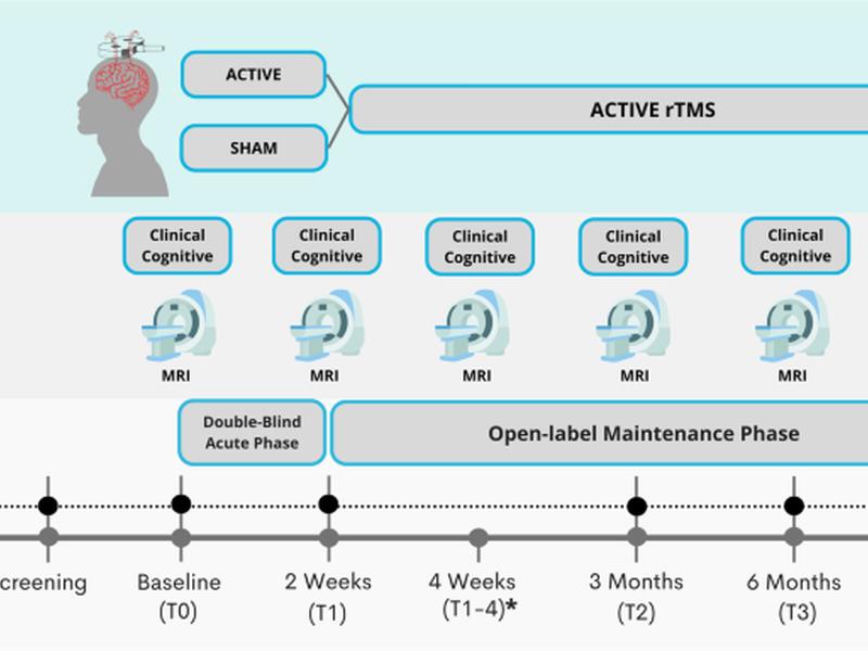 The Mexican Dataset Of A Repetitive Transcranial Magnetic Stimulation Clinical Trial On Cocaine Use Disorder Patients: Sudmex Tms