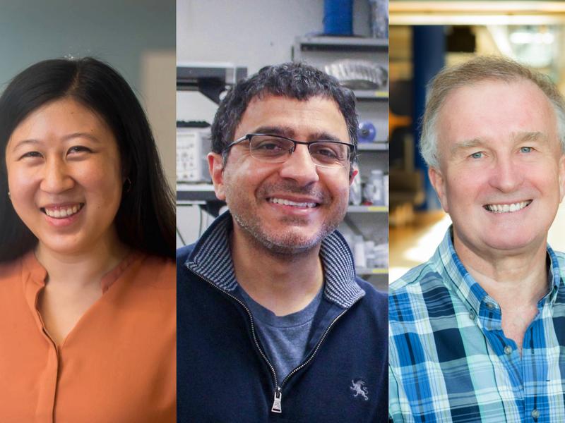 Developing Canada’s Future Technology Talent