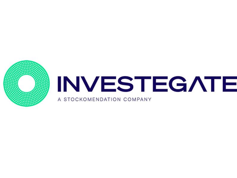B2b Division New Brand & Strategic Advisor