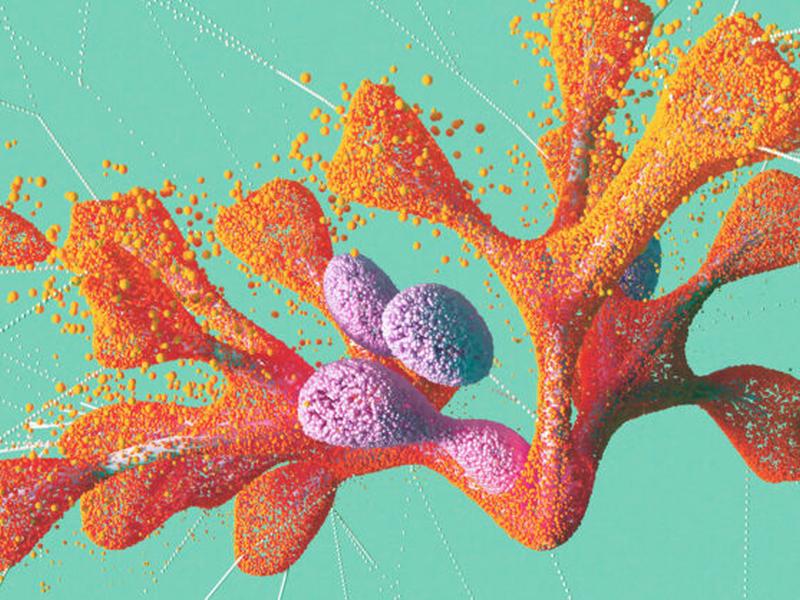 Using Ai To Predict Design Trends