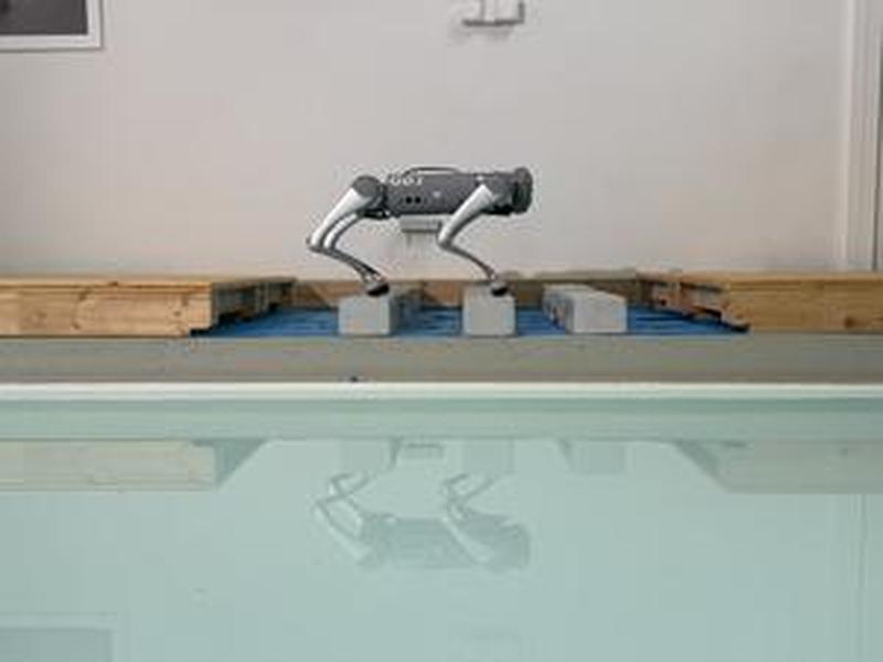 Trotting Robots Reveal Emergence Of Animal Gait Transitions