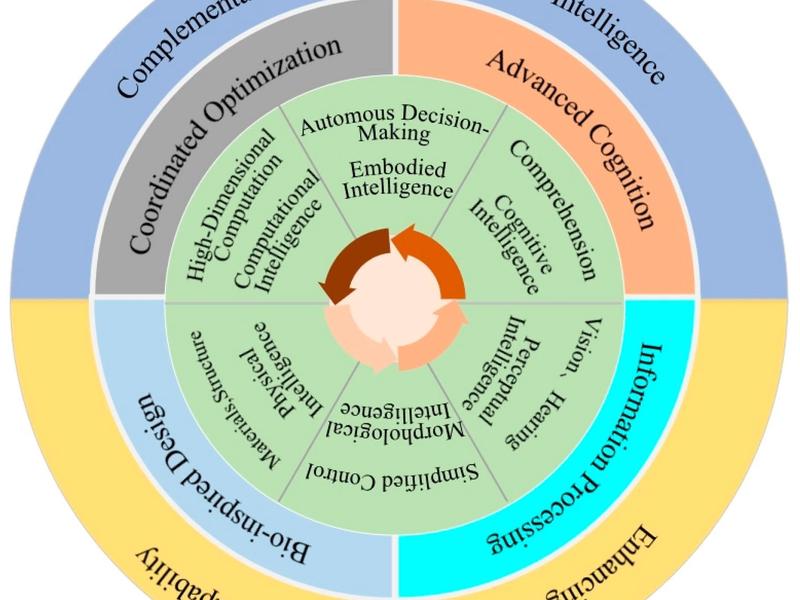 Exploring Embodied Intelligence In Soft Robotics