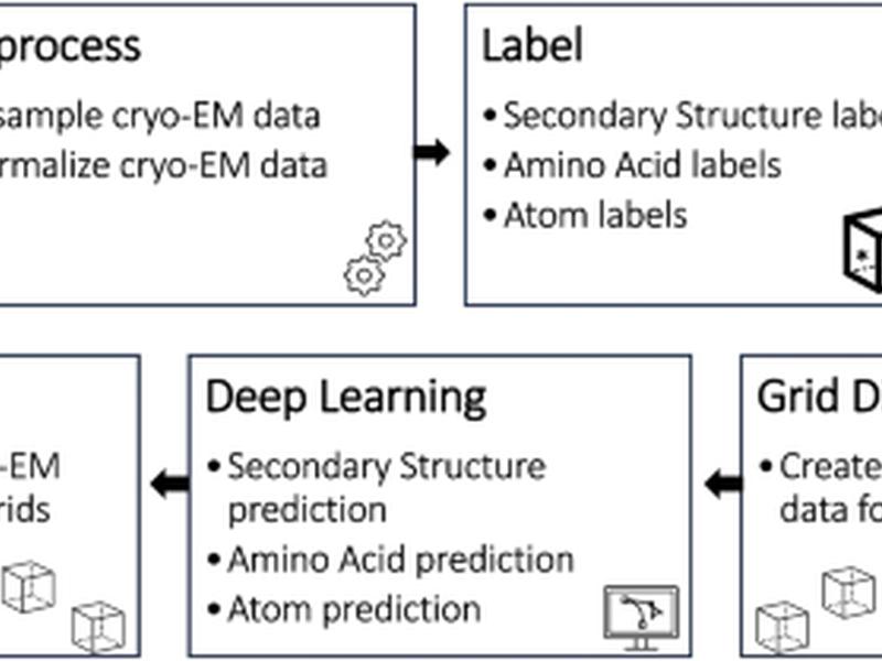 Cryo2structdata: A Large Labeled Cryo-em Density Map Dataset For Ai-based Modeling Of Protein Structures