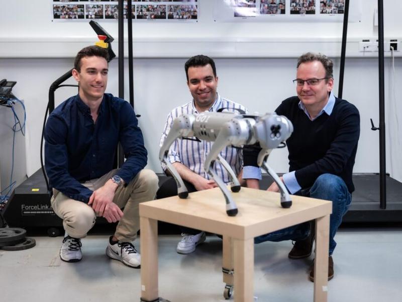 Trotting Robots Offer Insights Into Animal Gait Transitions