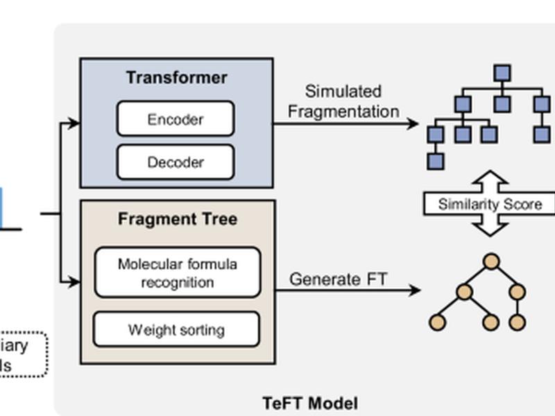 Structural Annotation Of Unknown Molecules In A Miniaturized Mass Spectrometer Based On A Transformer Enabled Fragment Tree Method