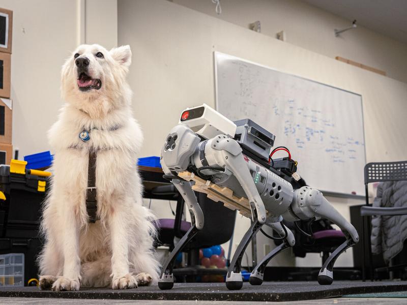 To Optimize Guide-dog Robots, First Listen To The Visually Impaired