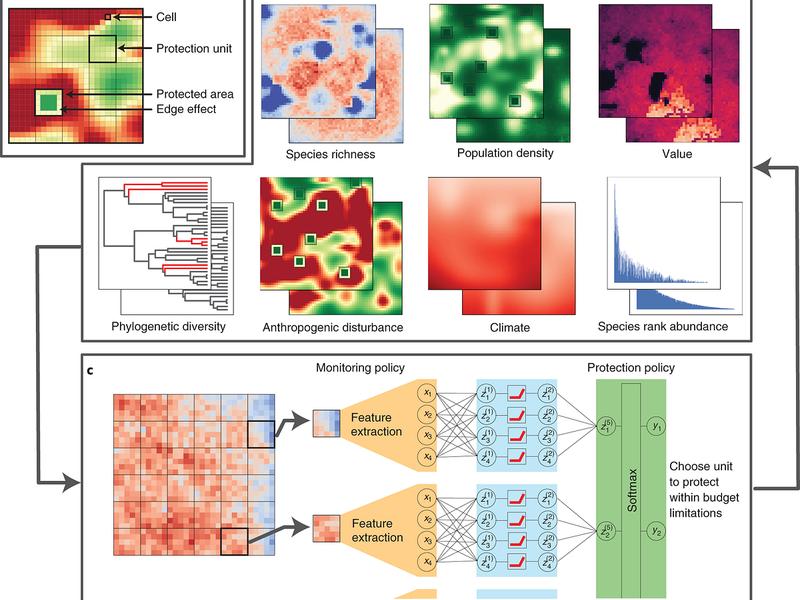 Unlocking Biodiversity Insights With Deep Learning: Recent Progress, Real-world Applications, And…