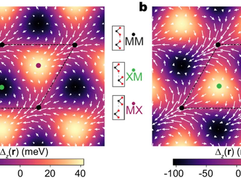 Polarization-driven Band Topology Evolution In Twisted Mote2 And Wse2