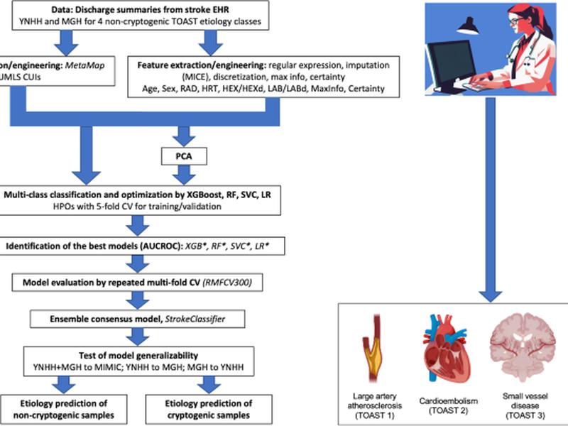 Strokeclassifier: Ischemic Stroke Etiology Classification By Ensemble Consensus Modeling Using Electronic Health Records