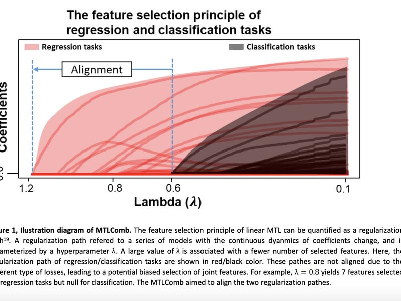 Multi-task Learning With Regression And Classification Tasks: Mtlcomb