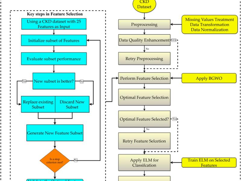 Advanced Ckd Detection Through Optimized Metaheuristic Modeling In Healthcare Informatics