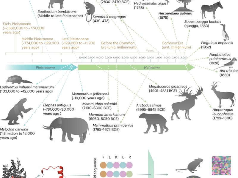 Deep-learning-enabled Antibiotic Discovery Through Molecular De-extinction