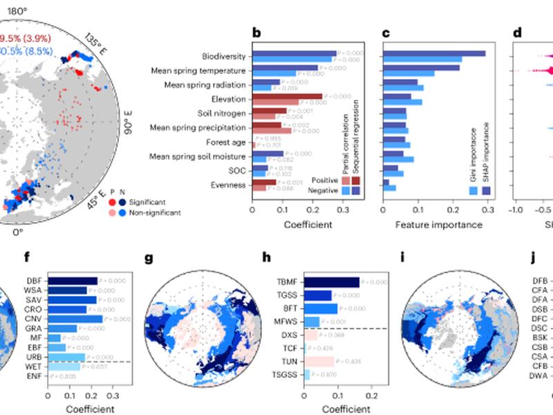 Biodiversity Buffers The Response Of Spring Leaf Unfolding To Climate Warming