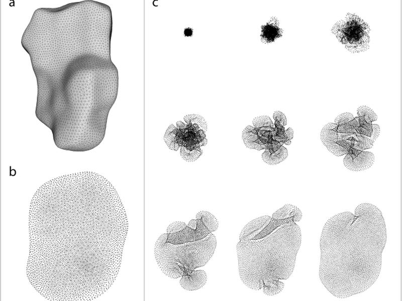Unsupervised Manifold Embedding To Encode Molecular Quantum Information For Supervised Learning Of Chemical Data