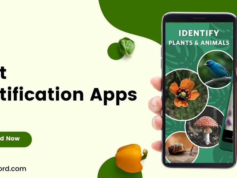 The 5 Best Plant Identification Apps Of 2024