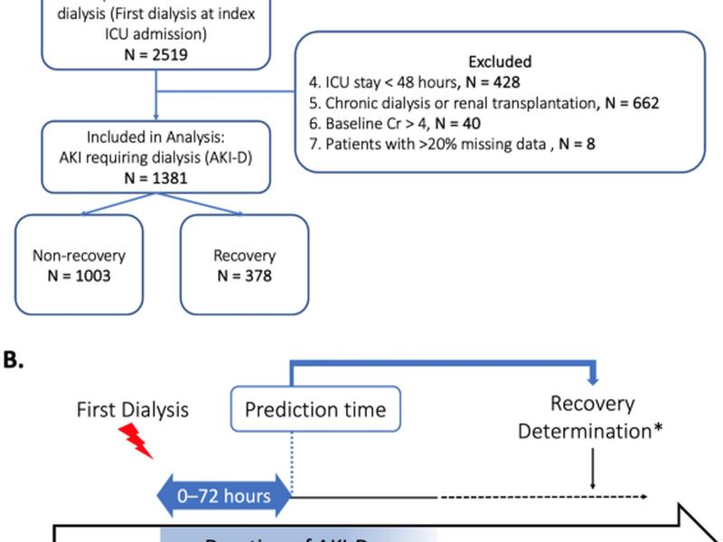 Predictive Approach For Liberation From Acute Dialysis In Icu Patients Using Interpretable Machine Learning