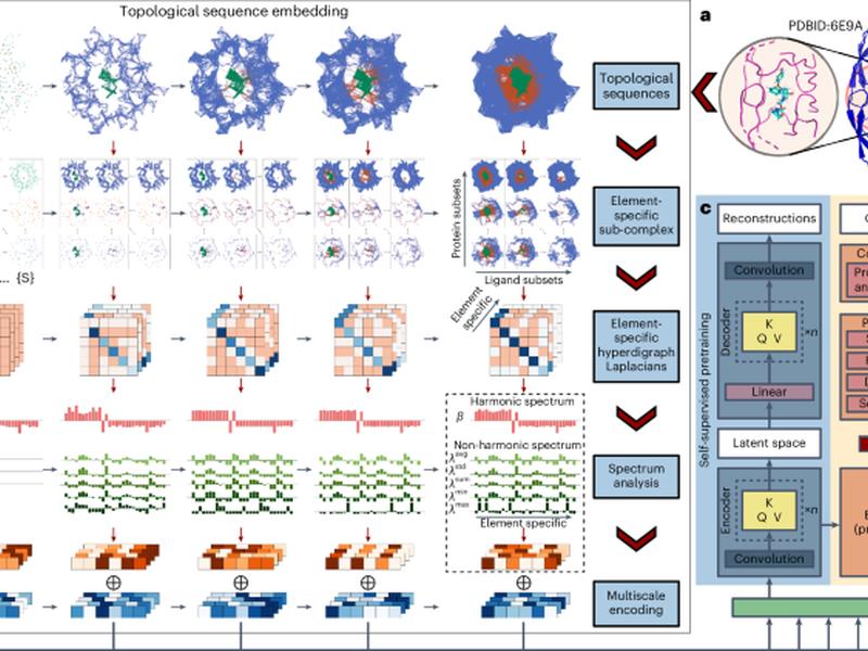 Multiscale Topology-enabled Structure-to-sequence Transformer For Protein-ligand Interaction Predictions