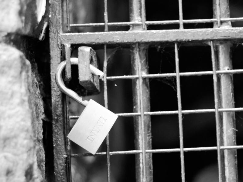 Unlocking The Power Of Search