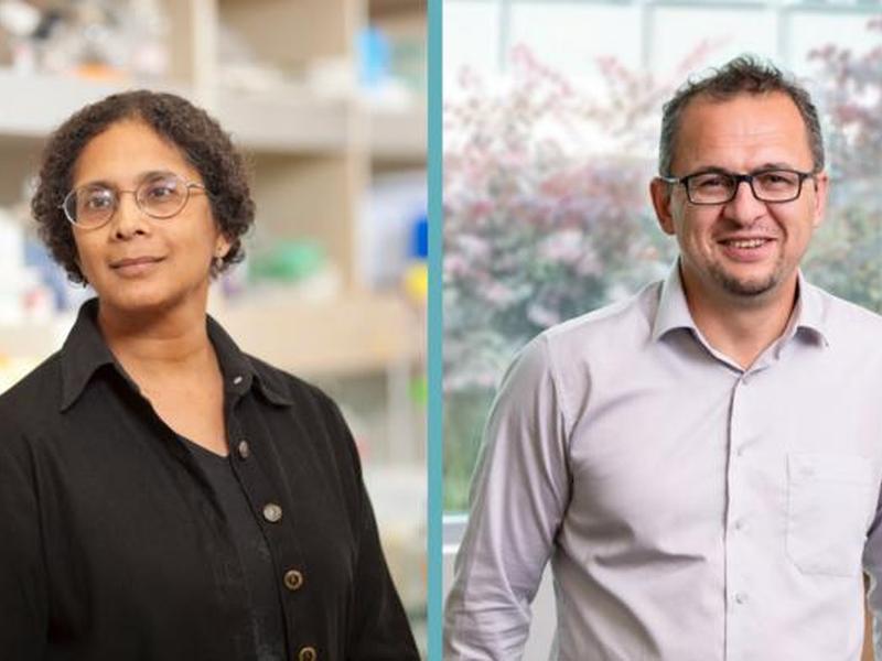 Lji Scientists Develop New Method To Match Genes To Their Molecular