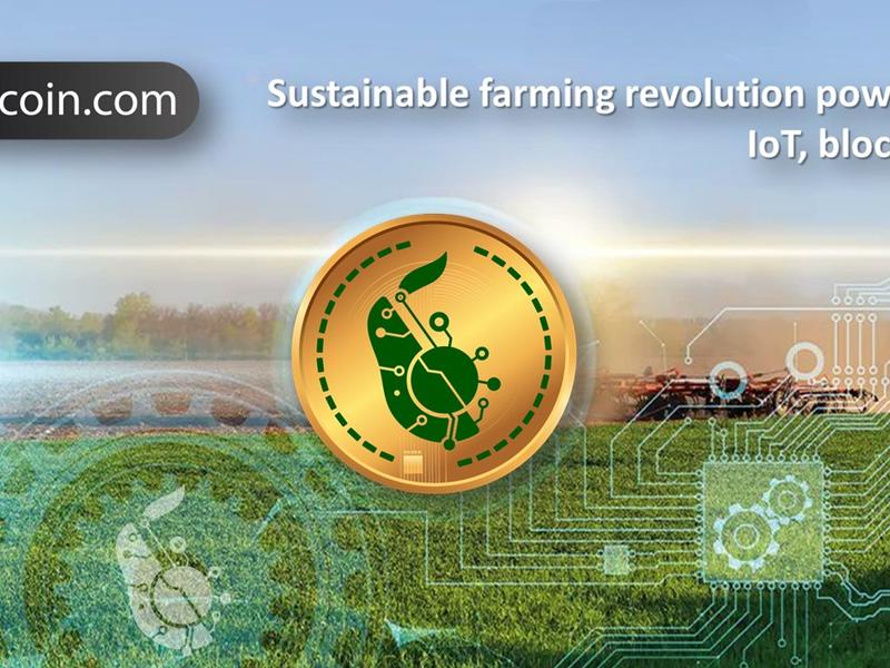 Avocadocoin: The Ultimate Fusion Of Blockchain And Sustainable Agriculture