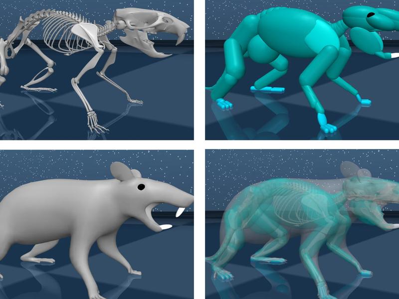 Harvard Neuroscientists And Google Deepmind Create Artificial Brain In Virtual Rat