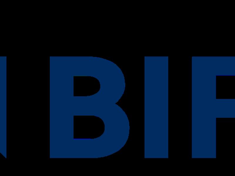 Newly Appointed Bifold Professor: Sebastian Schelter