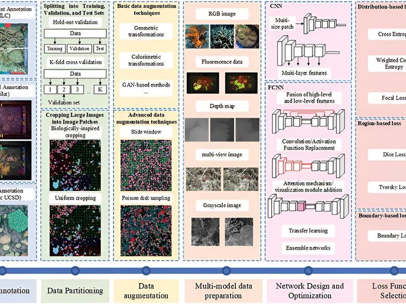 Ai Goes Underwater: Transforming Coral Reef Conservation With Cutting-edge Image Analysis