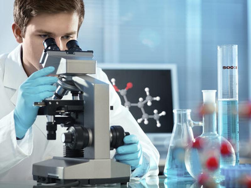 Ai Platform Makes Microscopy Image Analysis More Accessible