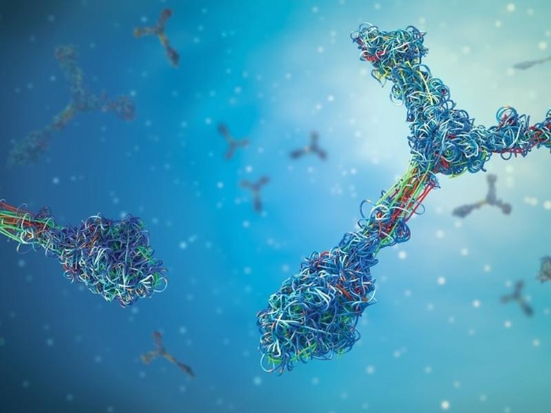 New Computational Method Developed For Linking Dna Marks To Gene Activity This Research, Pub…