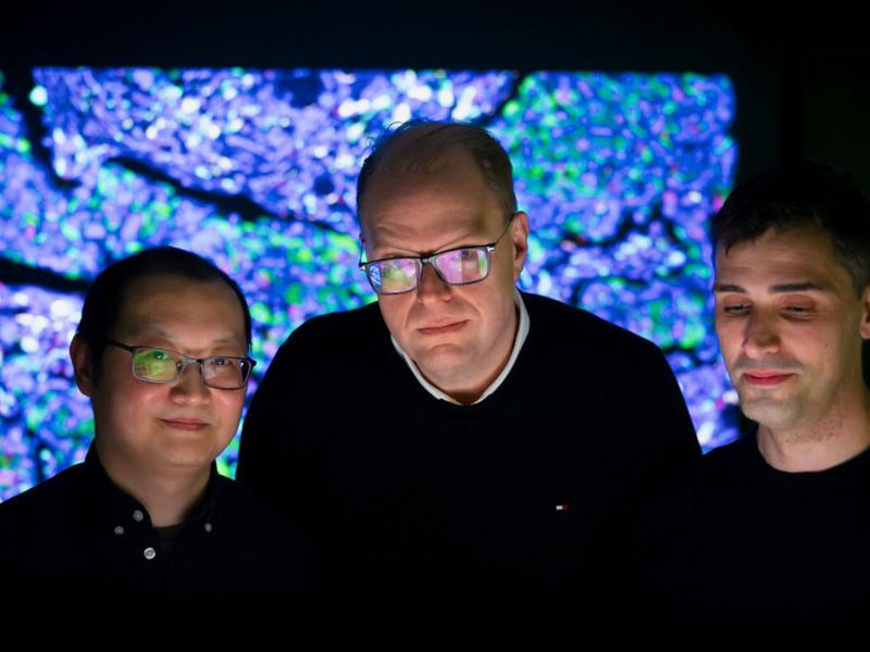 Scots Researchers Help Develop Ai System To Aid Cancer Diagnosis