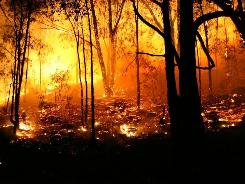 Ai/ml Gives Utilities A Powerful New Tool For Wildfire Risk Mitigation