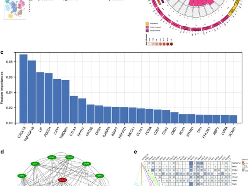 Machine Learning For The Identification Of Neoantigen-reactive Cd8 + T Cells In Gastrointestinal Cancer Using Single-cell Sequencing