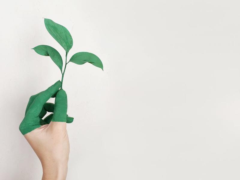 Staying Ahead Of Competition: Dynamic Business Growth Strategies For 2024