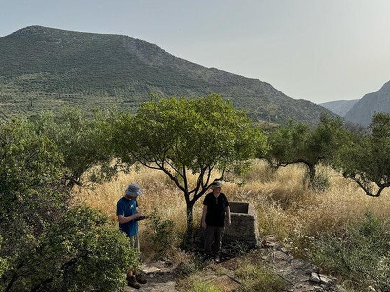 Blend Of Machine Learning, Botany Unlocks Secrets Of Ancient Greece