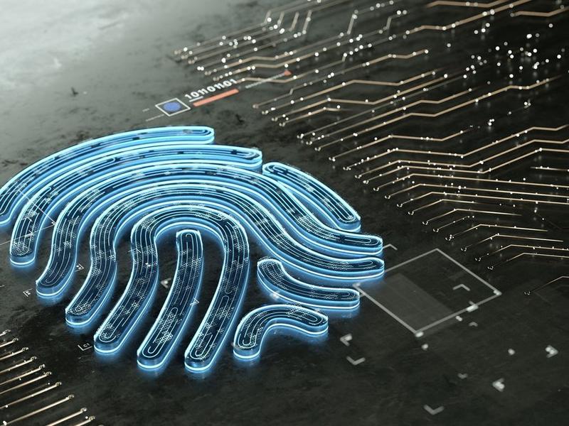The Role Of Cyber Security In The Uk’s Tech Renaissance