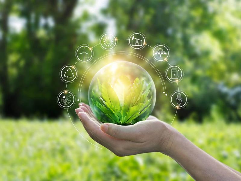 Are Our It Decisions Costing The Planet?