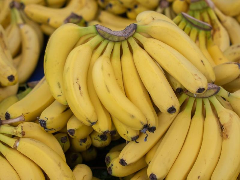 The Ton Blockchain Goes Bananas, Giving Birth To The Best Tokenization Model In Gaming