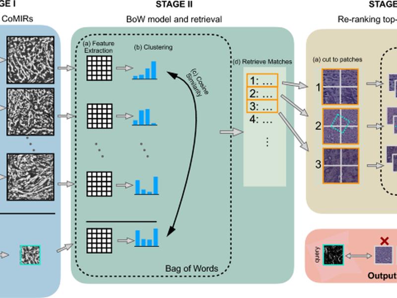 Cross-modality Sub-image Retrieval Using Contrastive Multimodal Image Representations