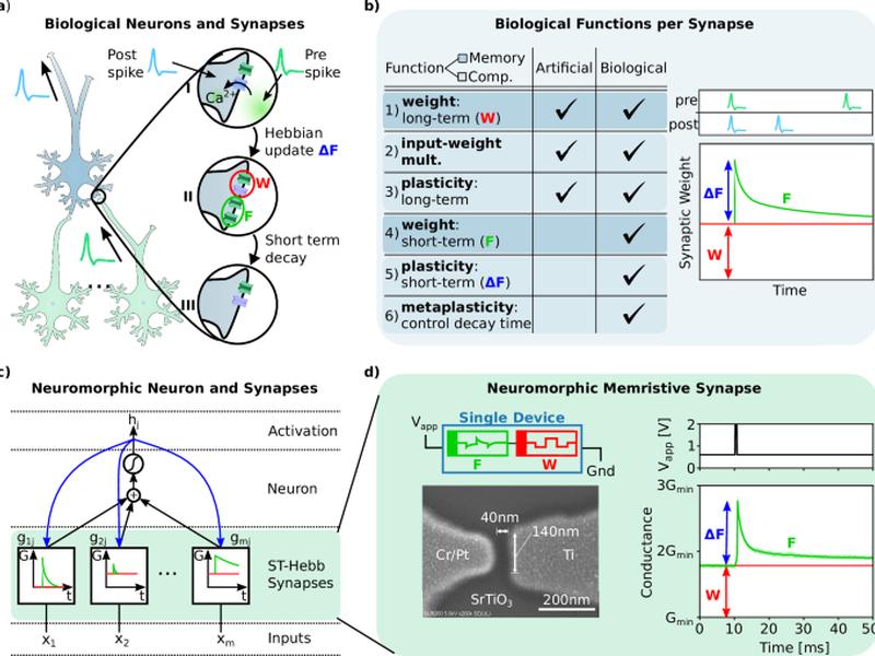 Single Neuromorphic Memristor Closely Emulates Multiple Synaptic Mechanisms For Energy Efficient Neural Networks