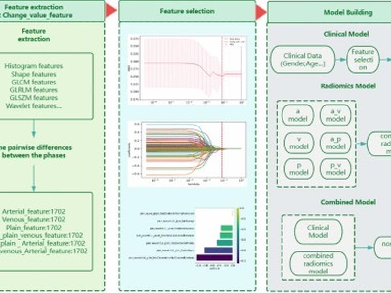 Predicting The Risk Category Of Thymoma With Machine Learning-based Computed Tomography Radiomics Signatures And Their Between-imaging Phase Differences
